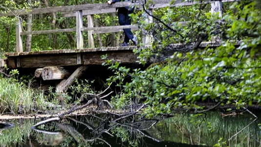 Kontorhoteller til leje i Virum - billede 22